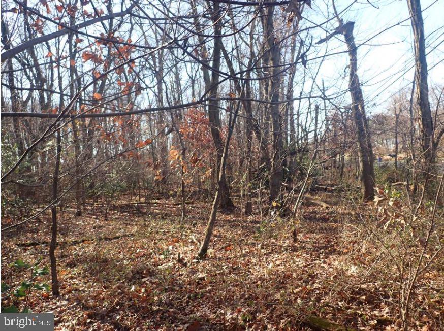 0 River Road New Castle, DE 19720 - Photo 2 of 5 a backyard of a house with lots of green space