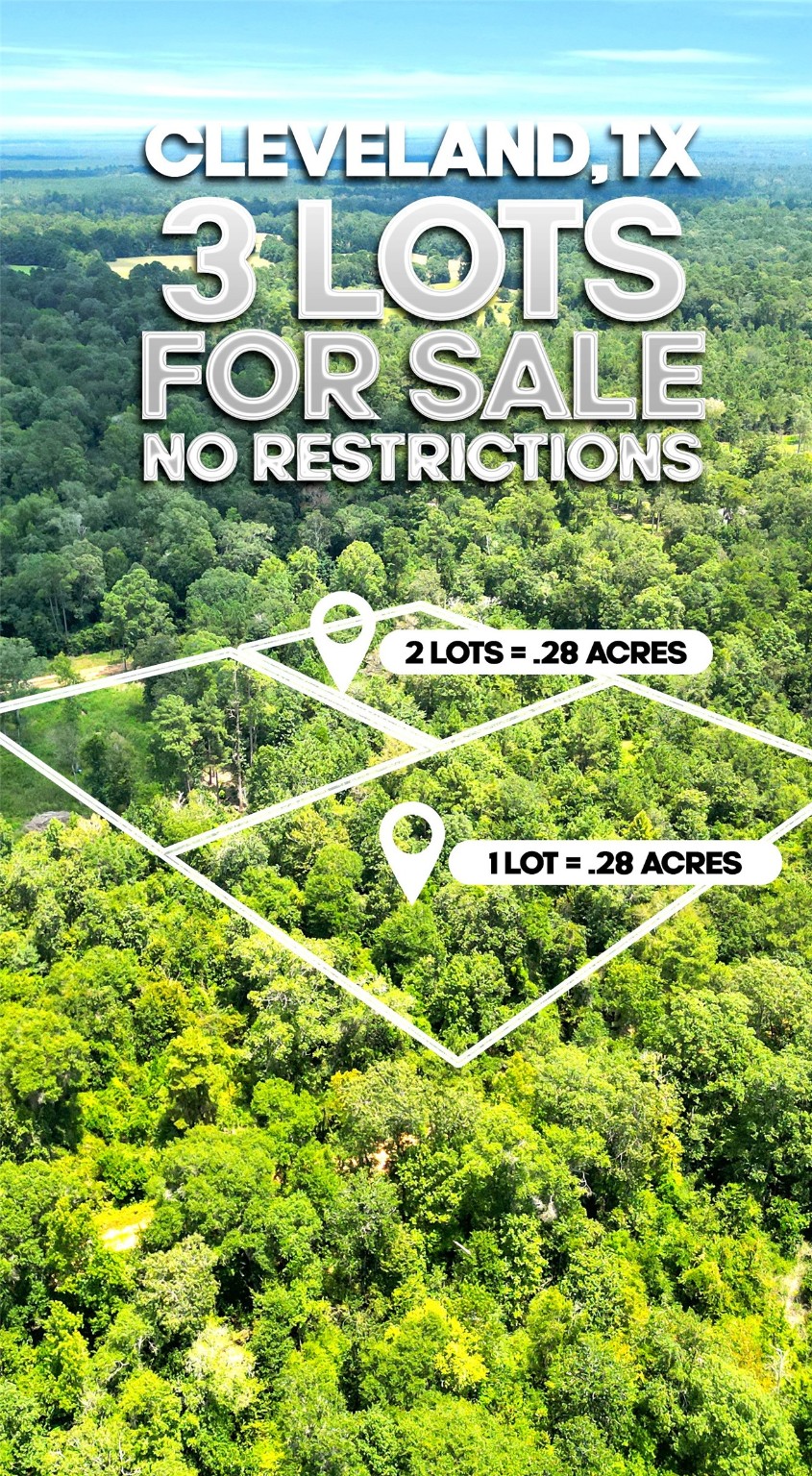 County Road County Road Cleveland, TX 77327 - Photo 16 of 19 a view of a bunch of trees