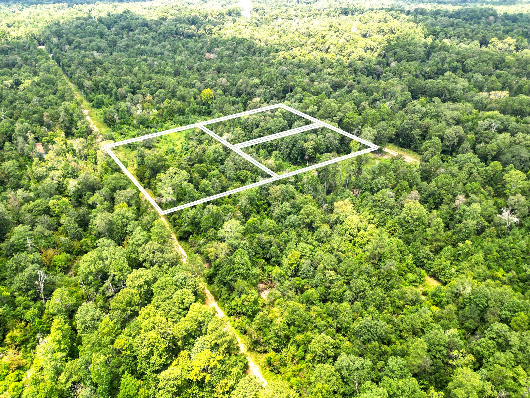 County Road County Road Cleveland, TX 77327 - Photo 19 of 19 a view of a yard with a plant