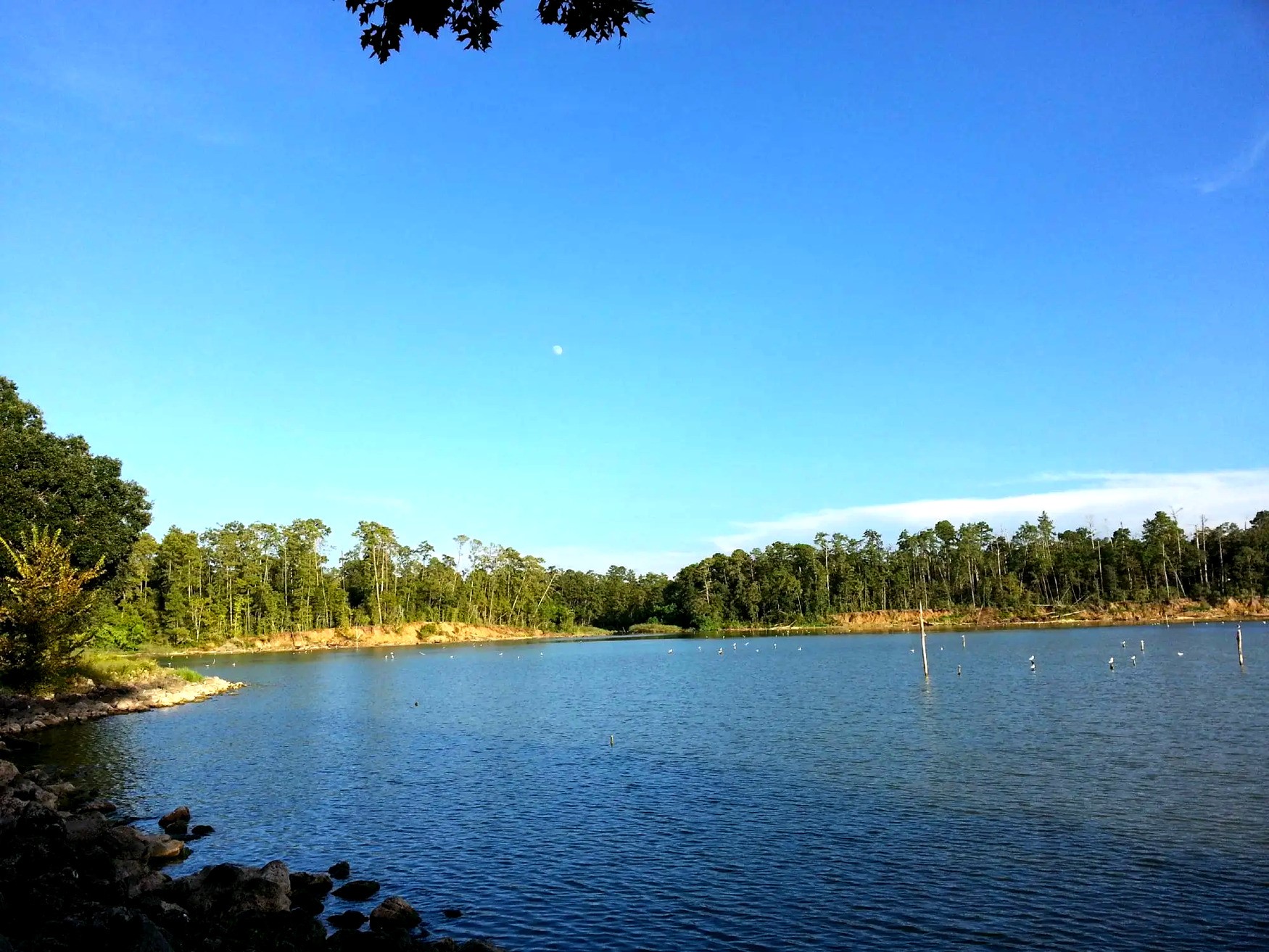 County Road County Road Cleveland, TX 77327 - Photo 6 of 19
