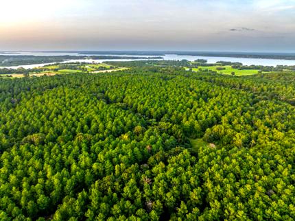 County Road County Road Cleveland, TX 77327 - Photo 9 of 19 a view of an ocean and mountain