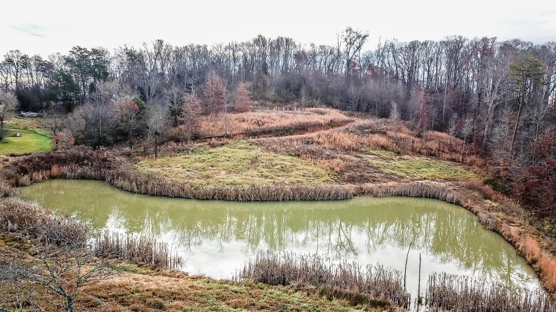 1271 Fork Road Greenback, TN 37742 - Photo 2 of 21 DJI_0141