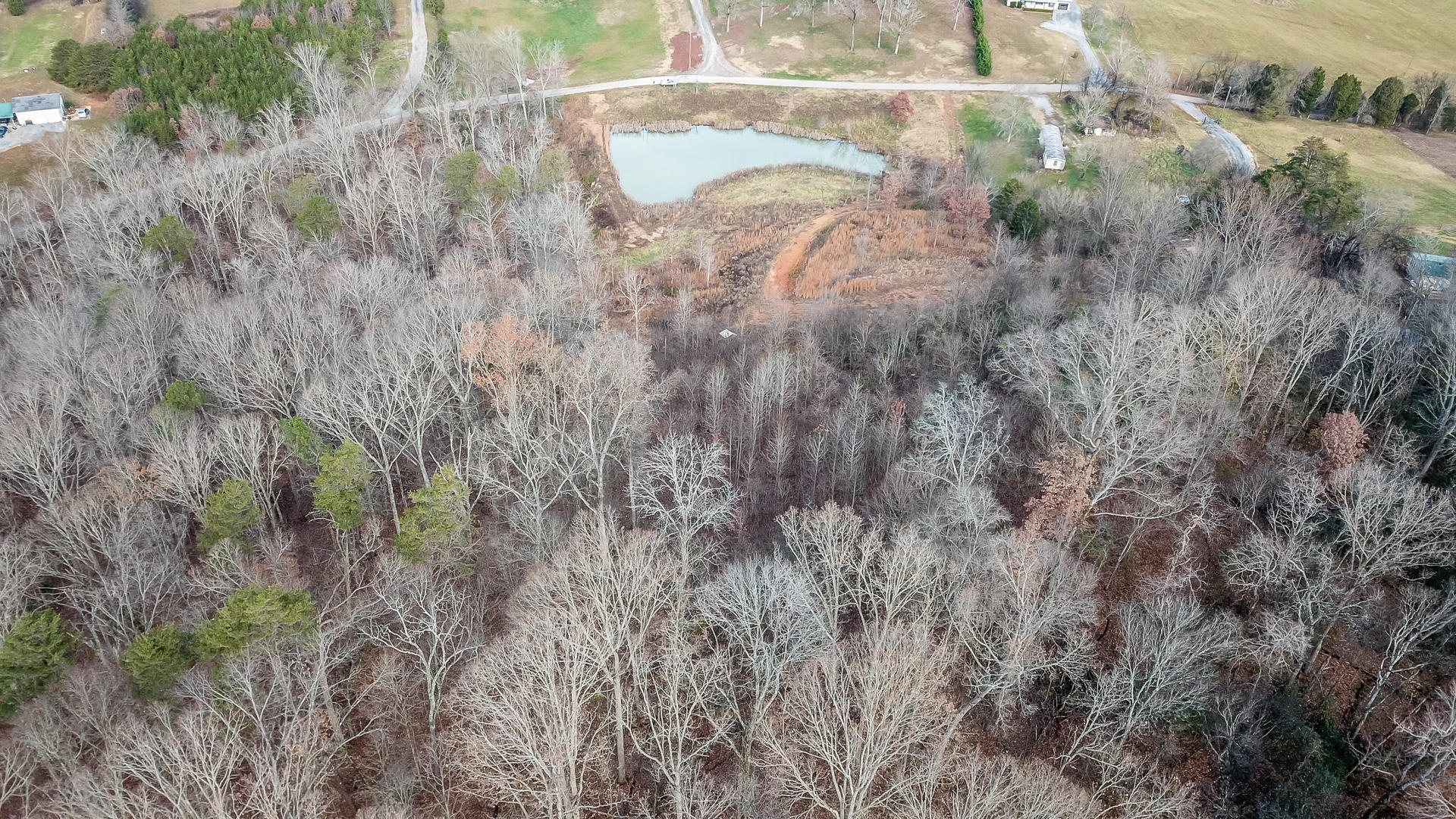 1271 Fork Road Greenback, TN 37742 - Photo 18 of 21 DJI_0138