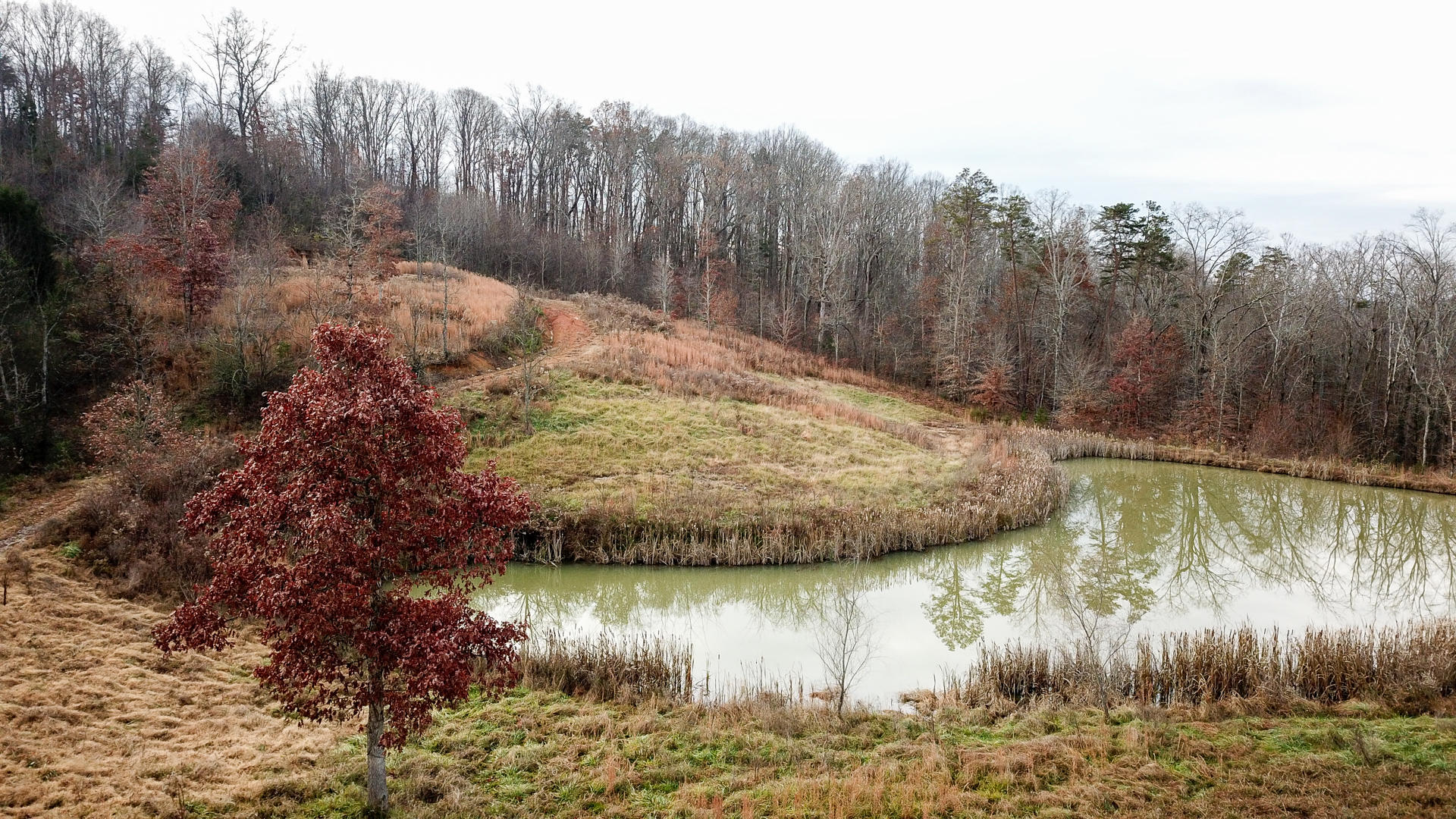1271 Fork Road Greenback, TN 37742 - Photo 3 of 21 DJI_0144