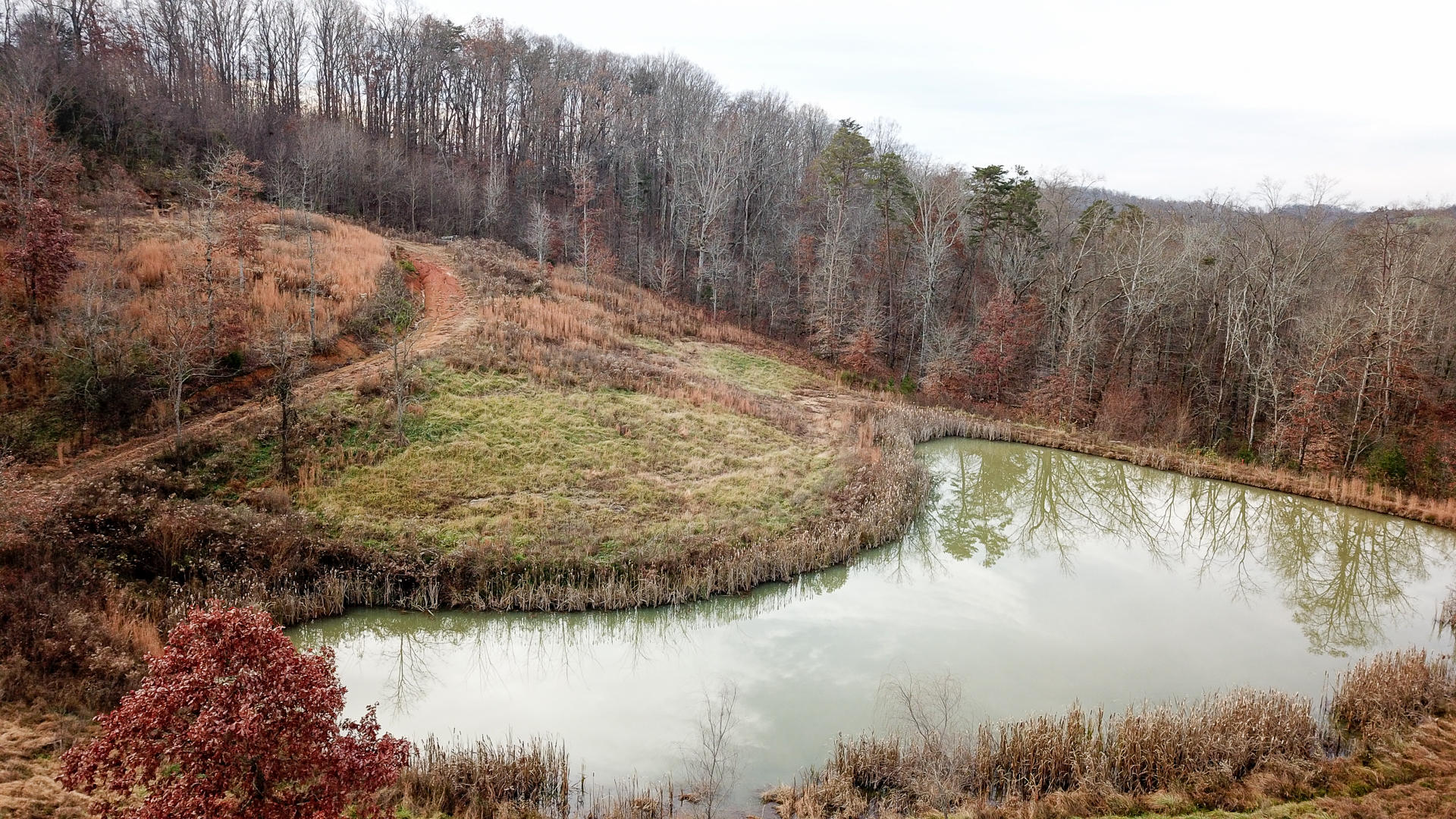 1271 Fork Road Greenback, TN 37742 - Photo 4 of 21 DJI_0145