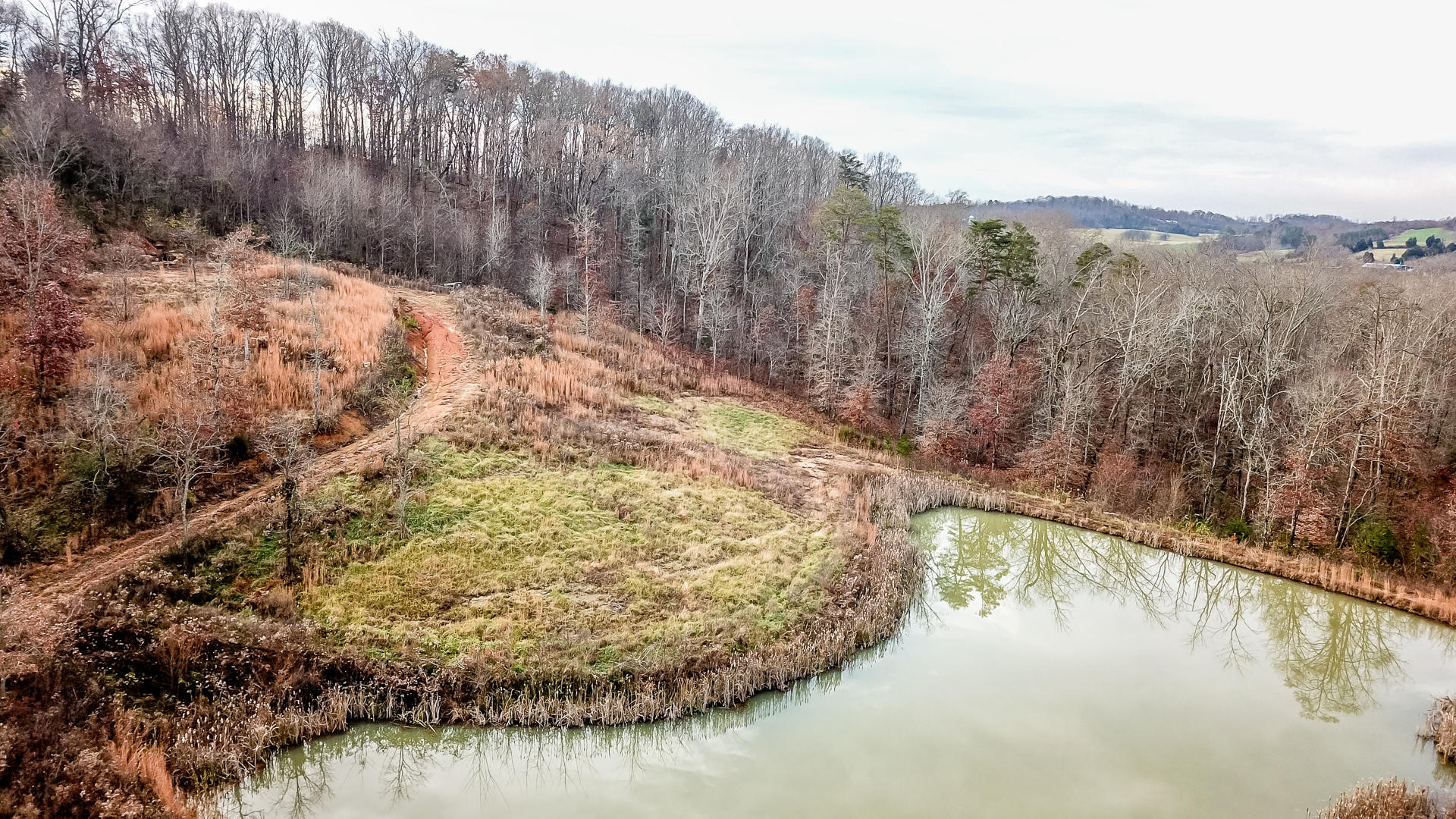 1271 Fork Road Greenback, TN 37742 - Photo 5 of 21 DJI_0146