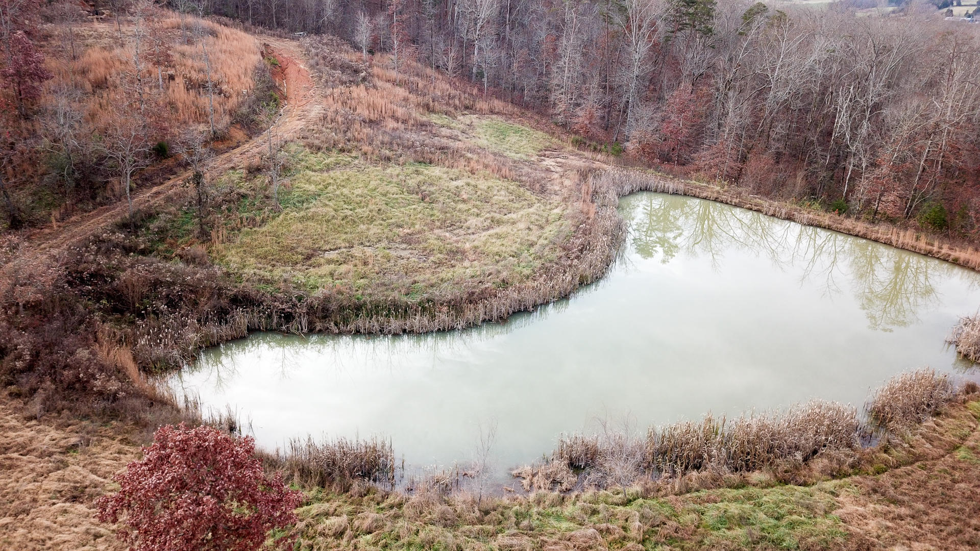 1271 Fork Road Greenback, TN 37742 - Photo 6 of 21 DJI_0147