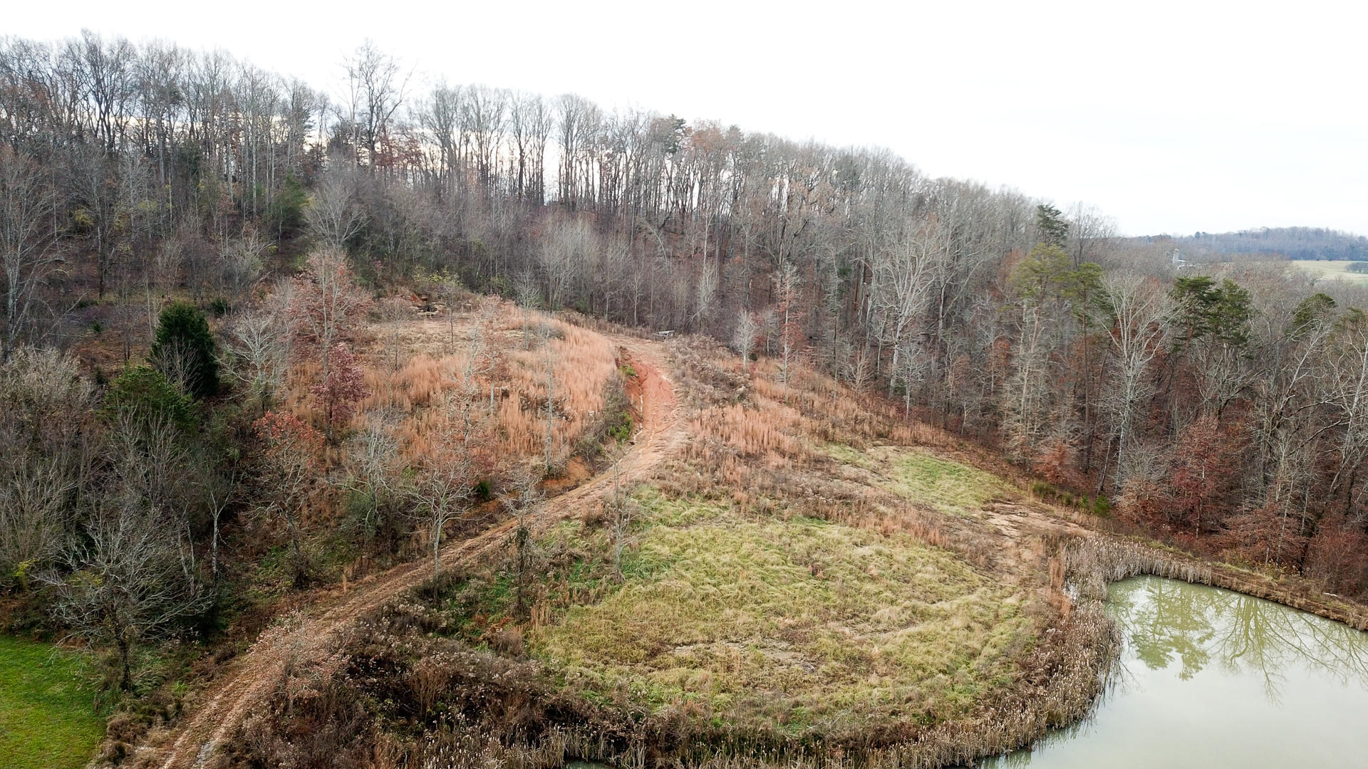 1271 Fork Road Greenback, TN 37742 - Photo 7 of 21 DJI_0150