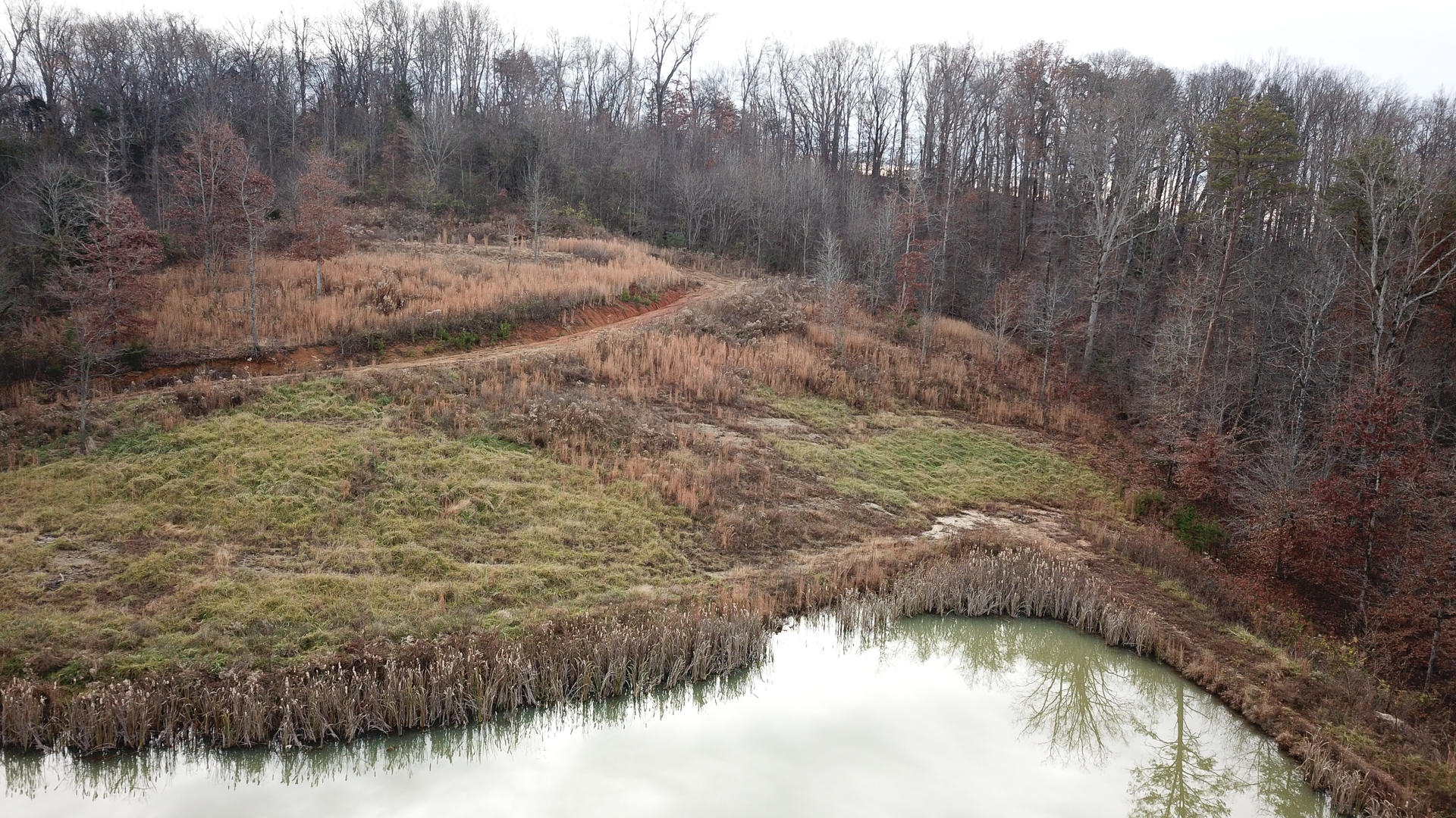 1271 Fork Road Greenback, TN 37742 - Photo 8 of 21 DJI_0151