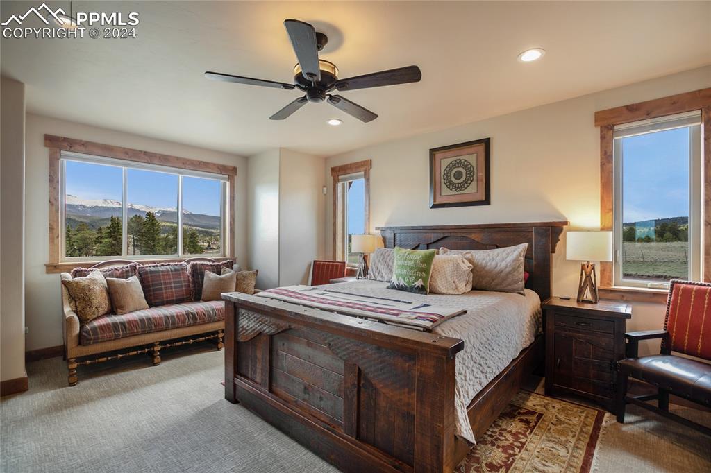 23143 Highway 67 Divide, CO 80814 - Photo 44 of 50