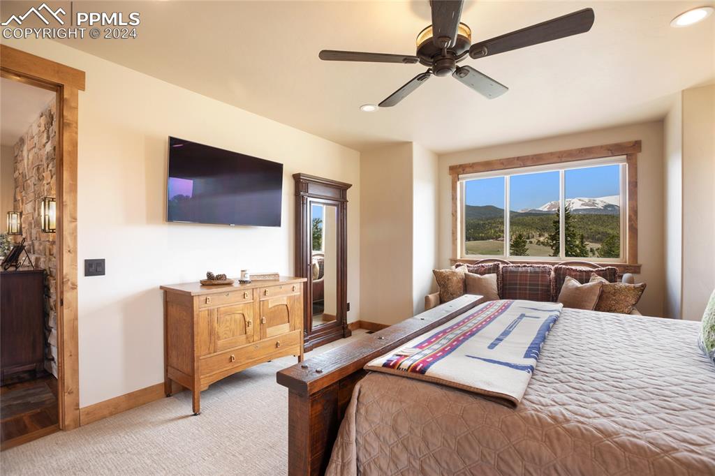 23143 Highway 67 Divide, CO 80814 - Photo 46 of 50