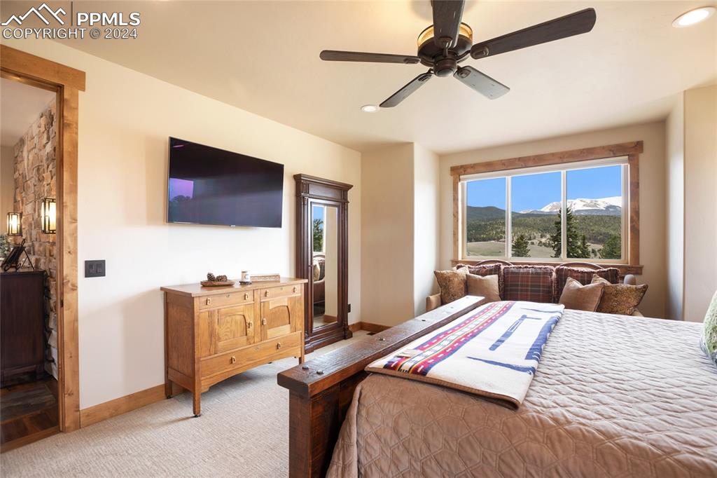 23143 Highway 67 Divide, CO 80814 - Photo 47 of 50