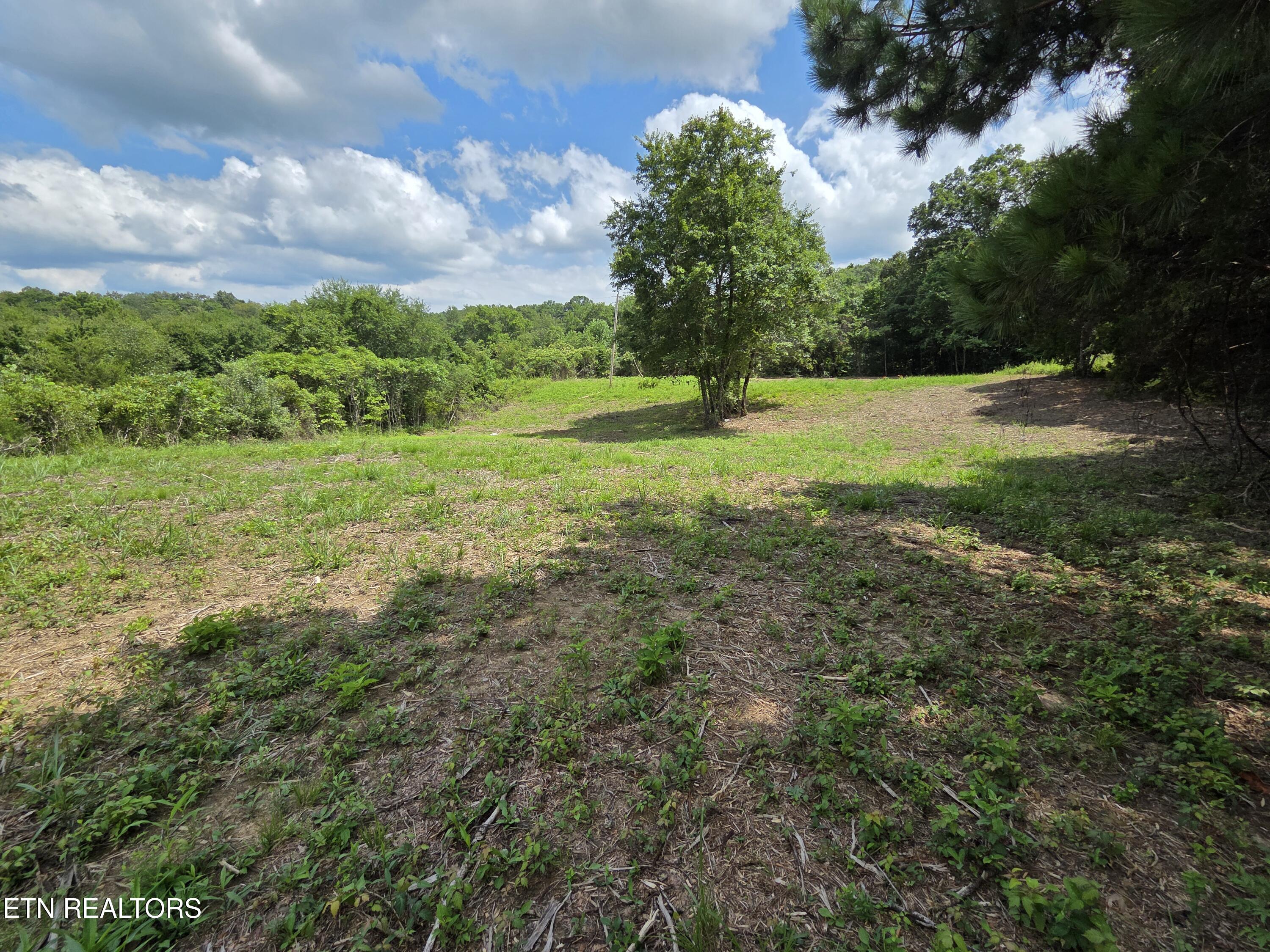 Sheep Ranch Rd Road Robbins, TN 37852 - Photo 5 of 26 20260723_150530