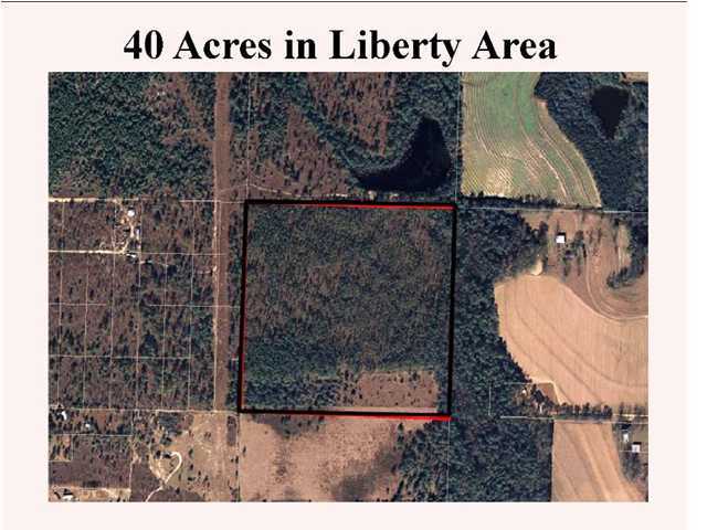 0 Off Rockman Road DeFuniak Springs, FL 32433 - Photo 2 of 3