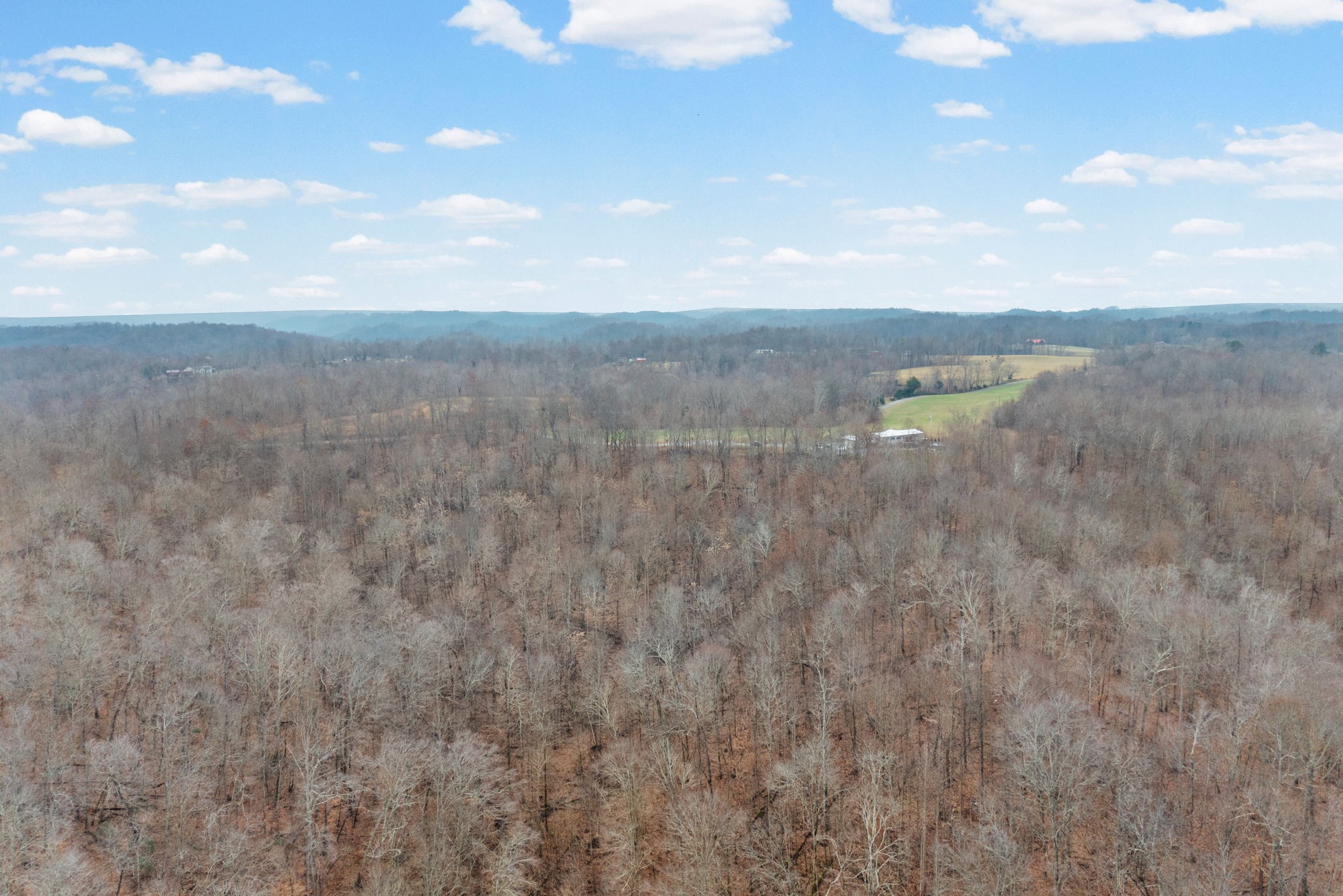 1750 South Fork Road Whitleyville, TN 38588 - Photo 16 of 39 Gallery Image 16