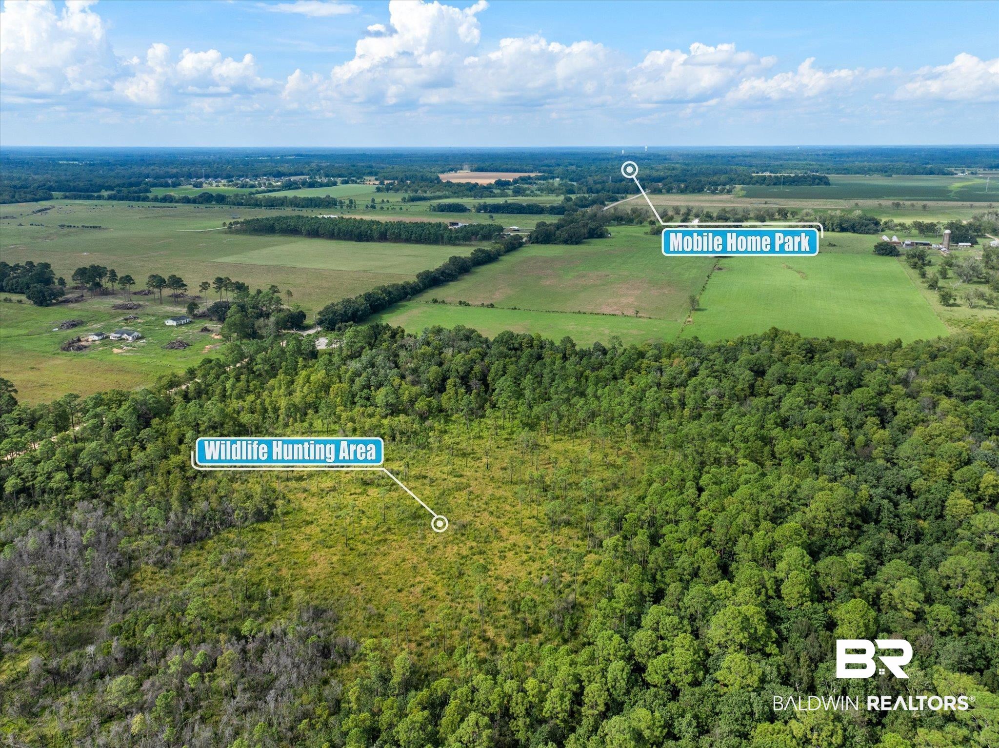 0 Crystal Creek Road Grand Bay, AL 36541 - Photo 13 of 17