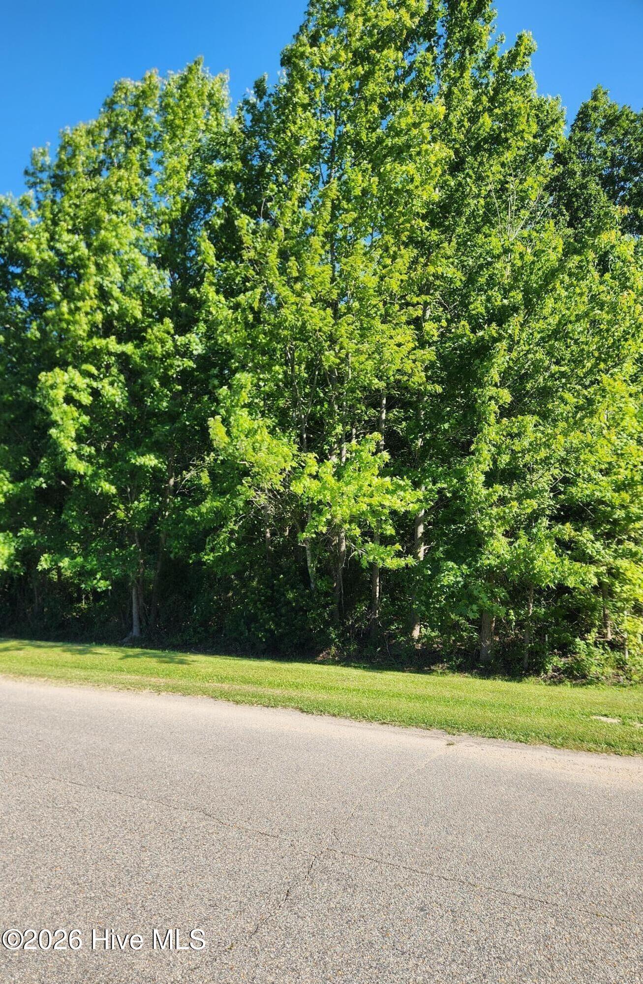 32 Treasure Point Road Bath, NC 27808 - Photo 1 of 1