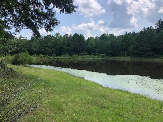 27410 Ealum Mill Road Red Level, AL 36474 - Photo 21 of 50 Gallery Image 21
