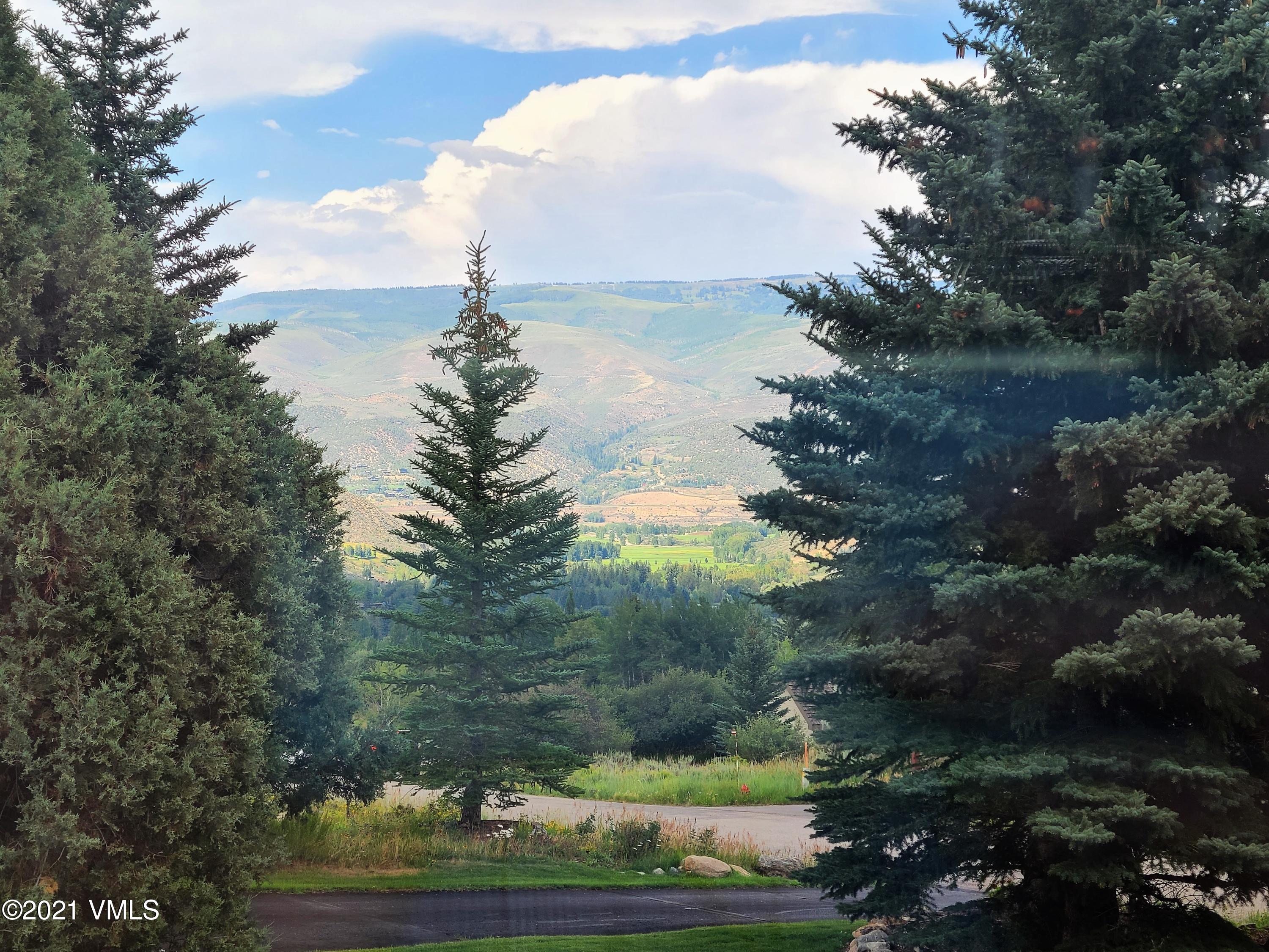 755 Eagle Crest Road Edwards, CO 81632 - Photo 16 of 56 755 across the valley Phone Best