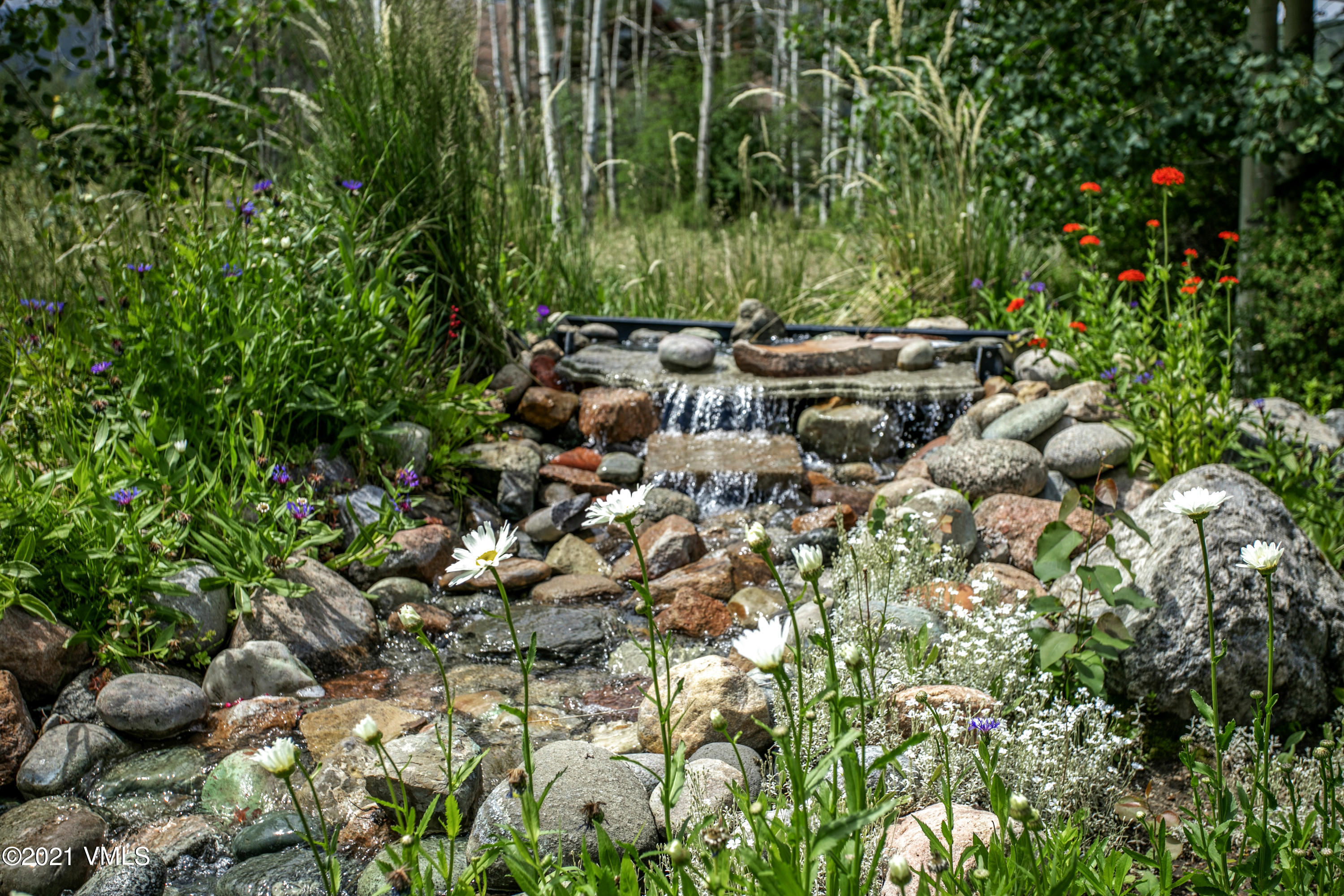 755 Eagle Crest Road Edwards, CO 81632 - Photo 43 of 56 a picture of plants