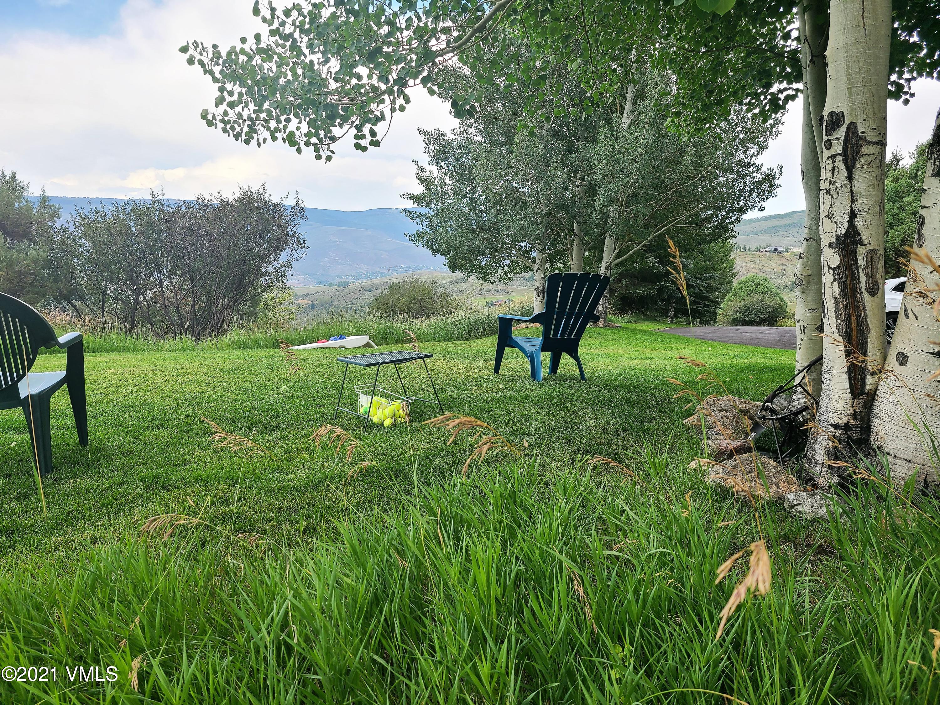 755 Eagle Crest Road Edwards, CO 81632 - Photo 52 of 56 a view of an outdoor space and yard