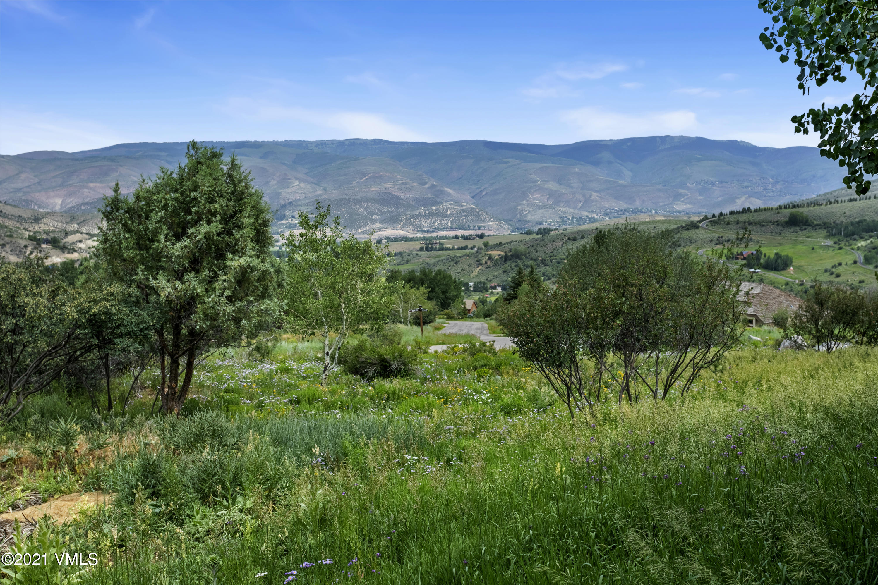 755 Eagle Crest Road Edwards, CO 81632 - Photo 54 of 56 a view of a lush green hillside and a building