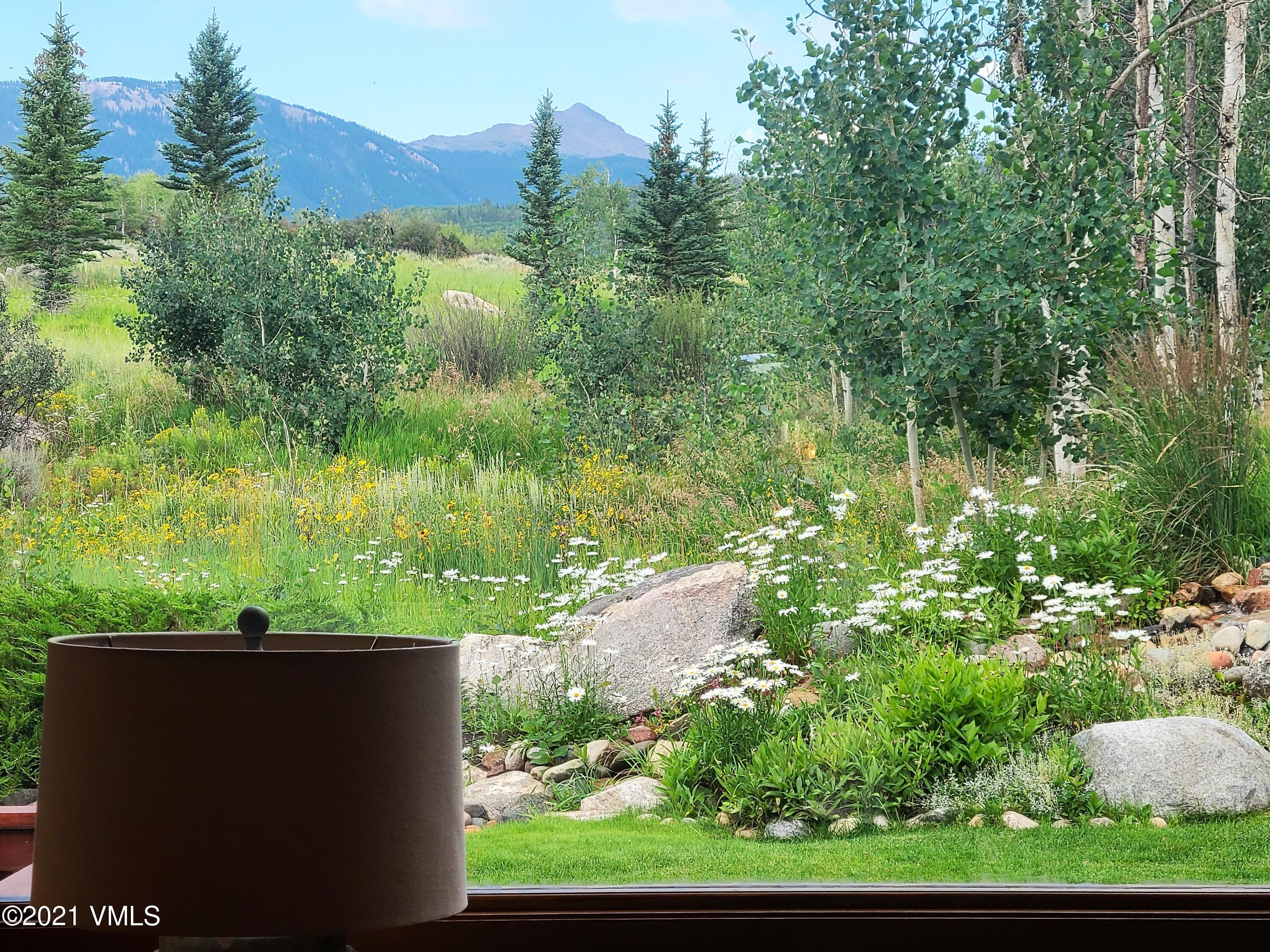755 Eagle Crest Road Edwards, CO 81632 - Photo 9 of 56 a view of a yard with a tree