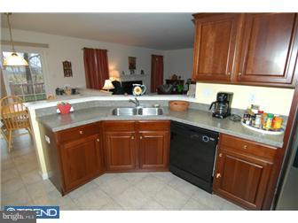 17 Mellowbrook Drive Sinking Spring, PA 19608 - Photo 5 of 12 Kitchen