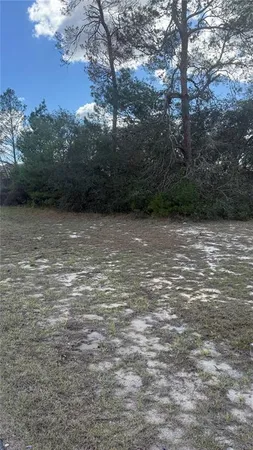 $55,000 | Tbd Southwest 40th Circle, Ocala, FL 34473