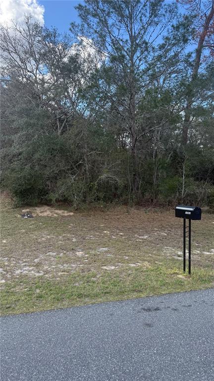 Tbd Southwest 40th Circle Ocala, FL 34473 - Photo 2 of 3