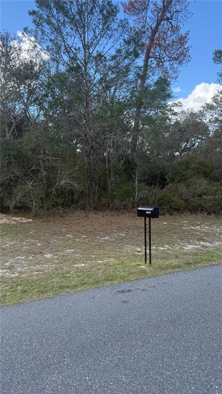 Tbd Southwest 40th Circle Ocala, FL 34473 - Photo 3 of 3