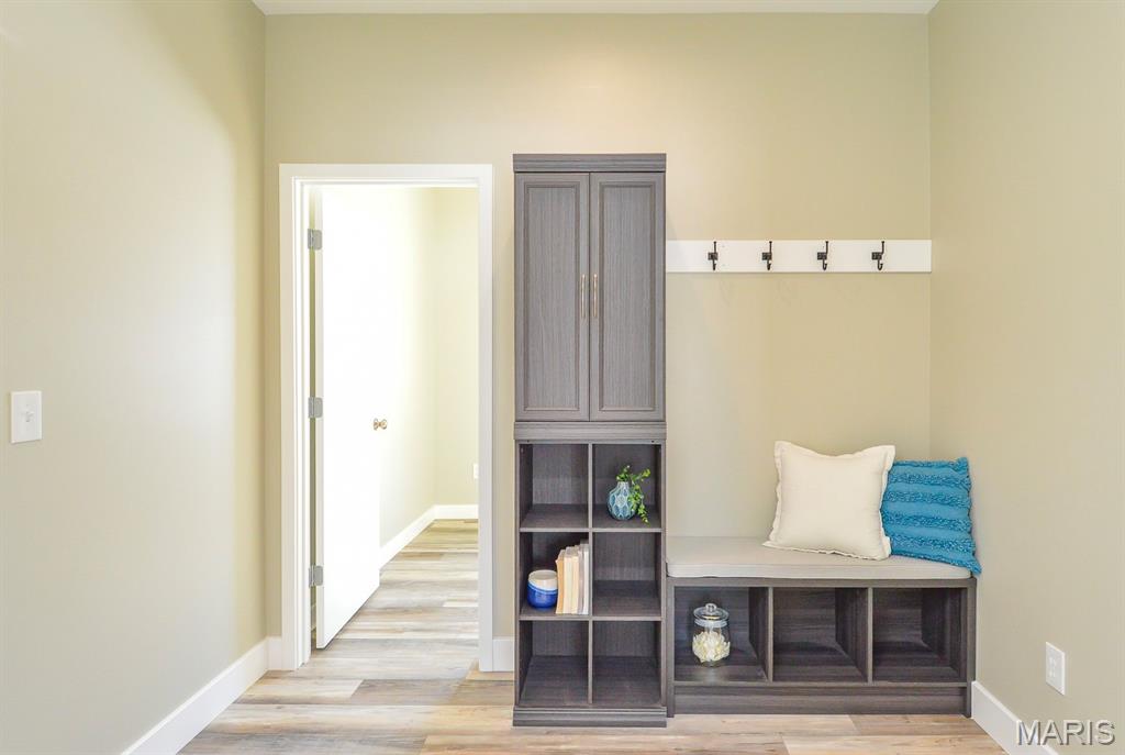 19 Adderly Lane Millstadt, IL 62260 - Photo 19 of 54