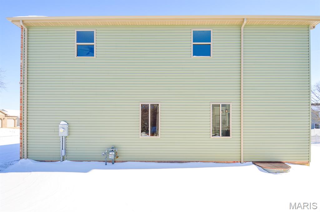 19 Adderly Lane Millstadt, IL 62260 - Photo 54 of 64