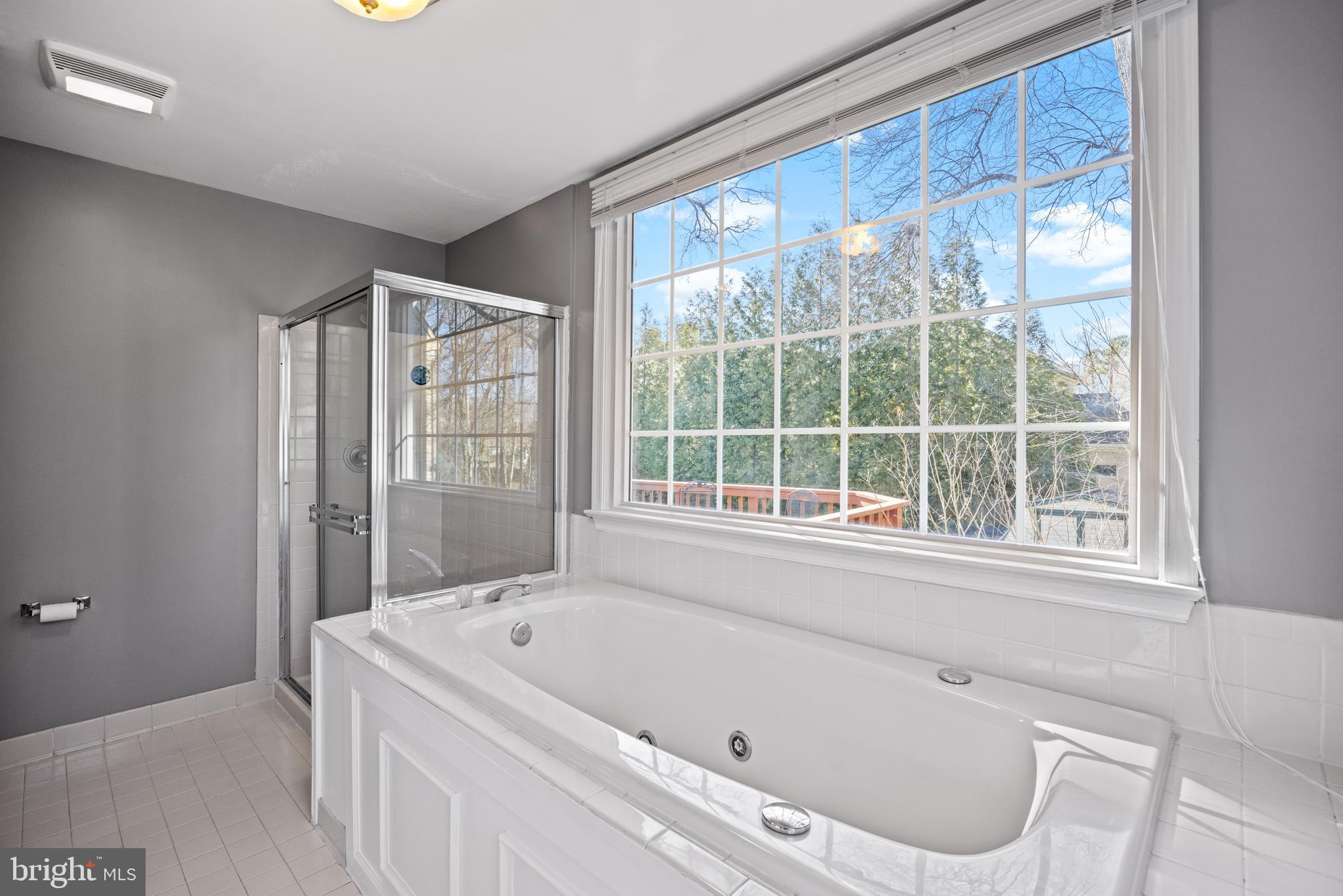 8255 Colling Ridge Court Alexandria, VA 22308 - Photo 24 of 49 soaking tub & glass shower