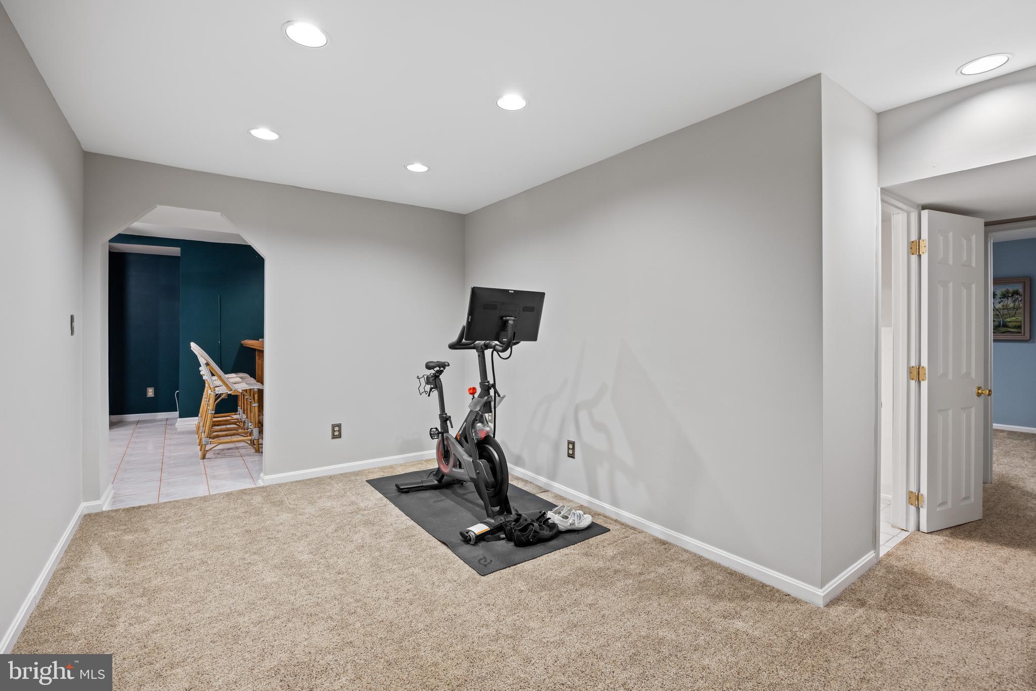 8255 Colling Ridge Court Alexandria, VA 22308 - Photo 38 of 49 Area for excersise equiptment!