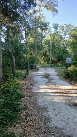 a view of dirt yard with large trees