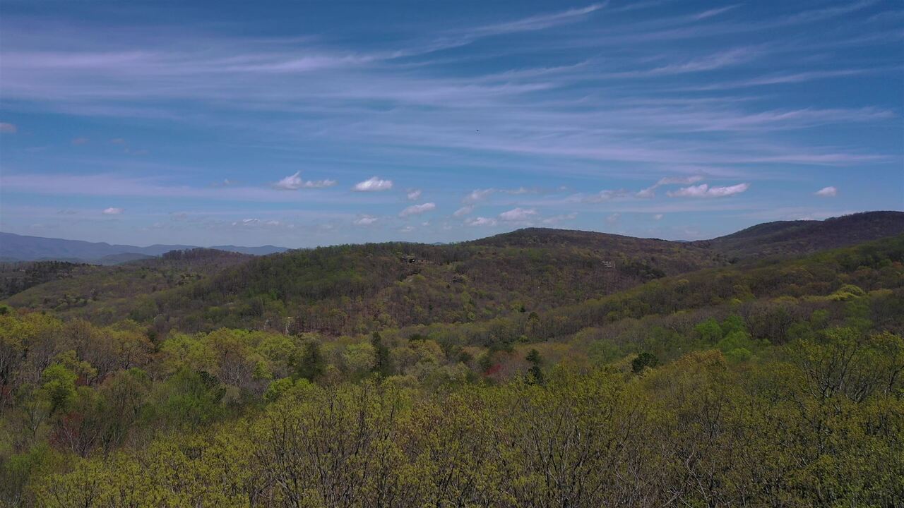 0 Andes Ridge, Unit 25 Talking Rock, GA 30143 - Photo 1 of 1 Gallery Image 1