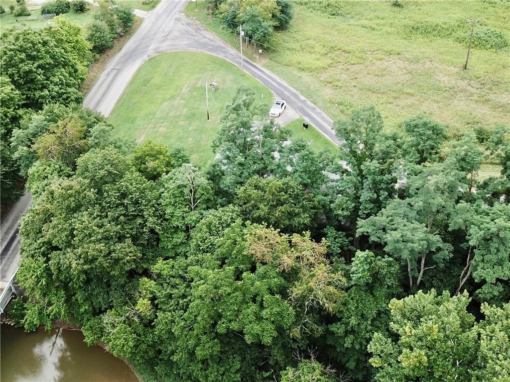 309 Moscow Road Waynesburg, PA 15370 - Photo 22 of 25 a view of a green yard with large trees