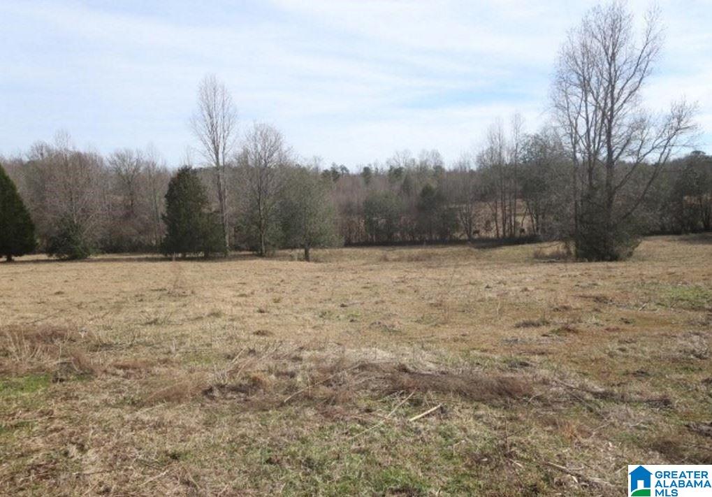 853 Bailey Road Cragford, AL 36255 - Photo 28 of 39