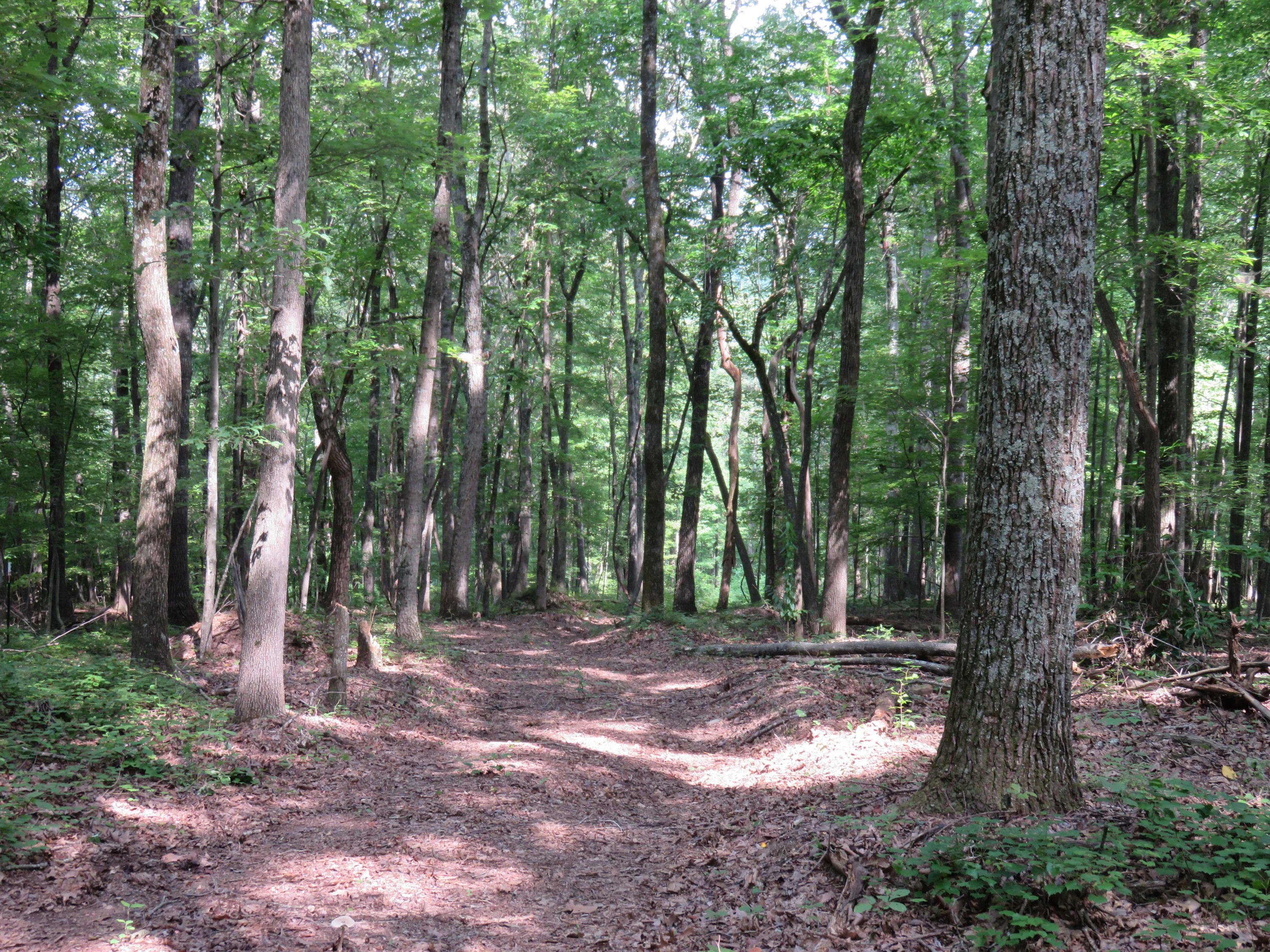 13 Acres Road Kingston, TN 37763 - Photo 2 of 3 IMG_3284