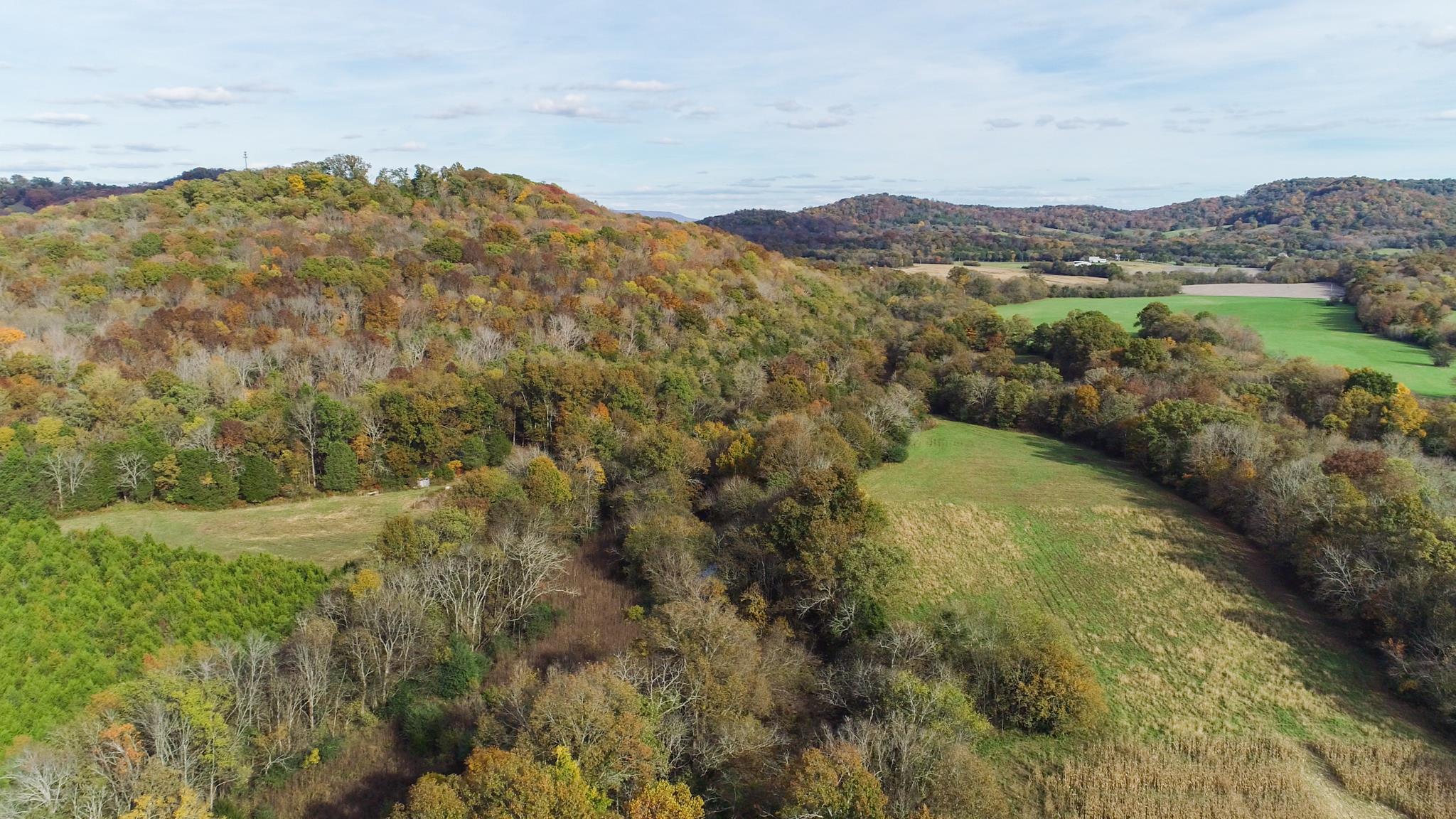 10111 Vaught Road Readyville, TN 37149 - Photo 1 of 16 Gallery Image 1
