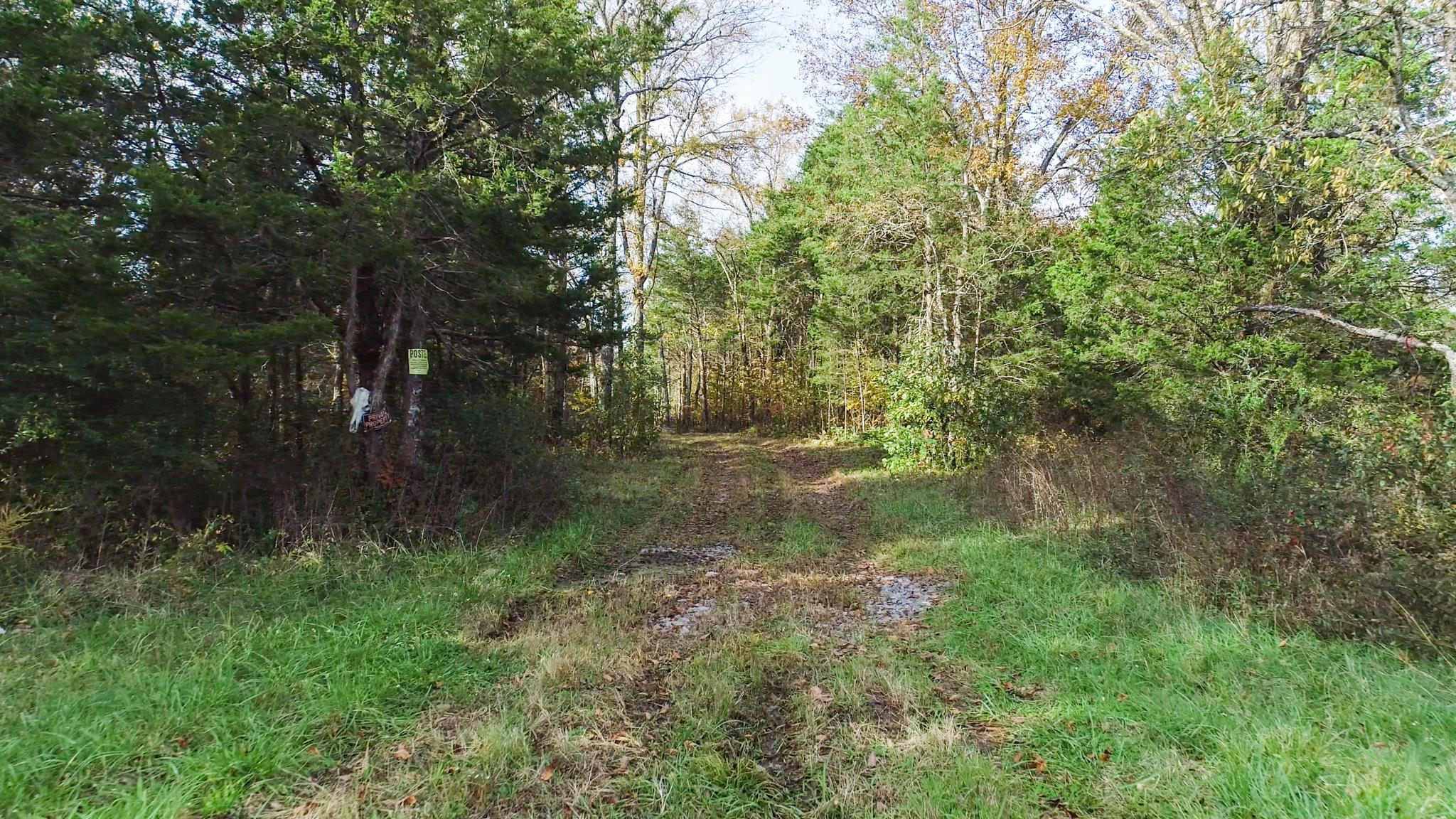 10111 Vaught Road Readyville, TN 37149 - Photo 11 of 16 Gallery Image 11