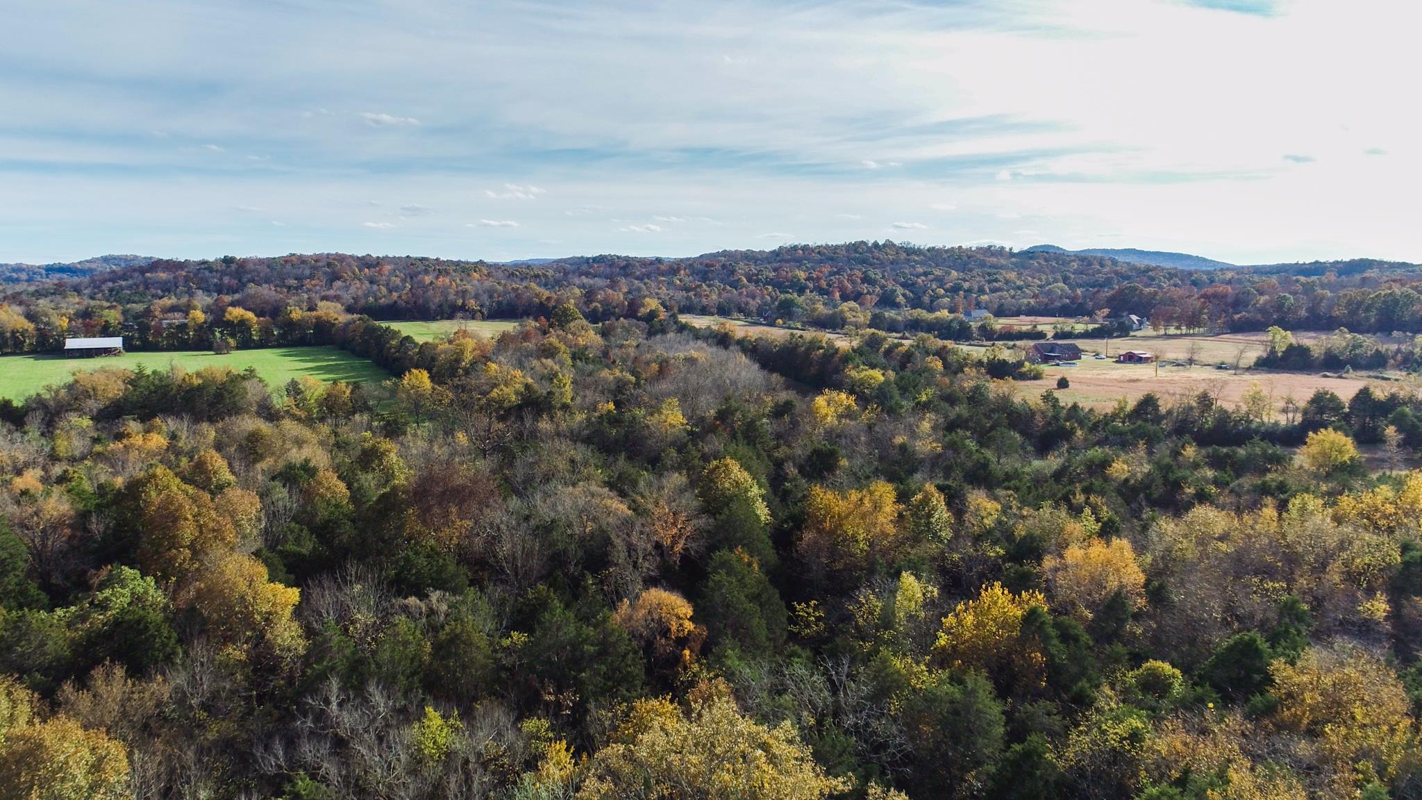 10111 Vaught Road Readyville, TN 37149 - Photo 12 of 16 Gallery Image 12