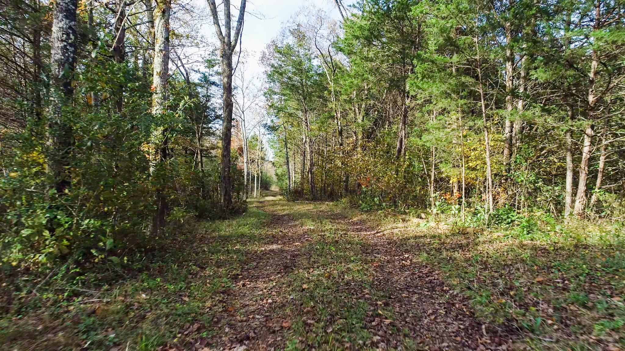 10111 Vaught Road Readyville, TN 37149 - Photo 15 of 16 Gallery Image 15