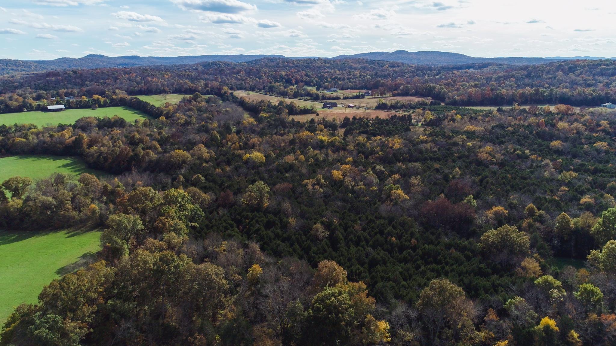 10111 Vaught Road Readyville, TN 37149 - Photo 2 of 16 10111 Vaught Rd