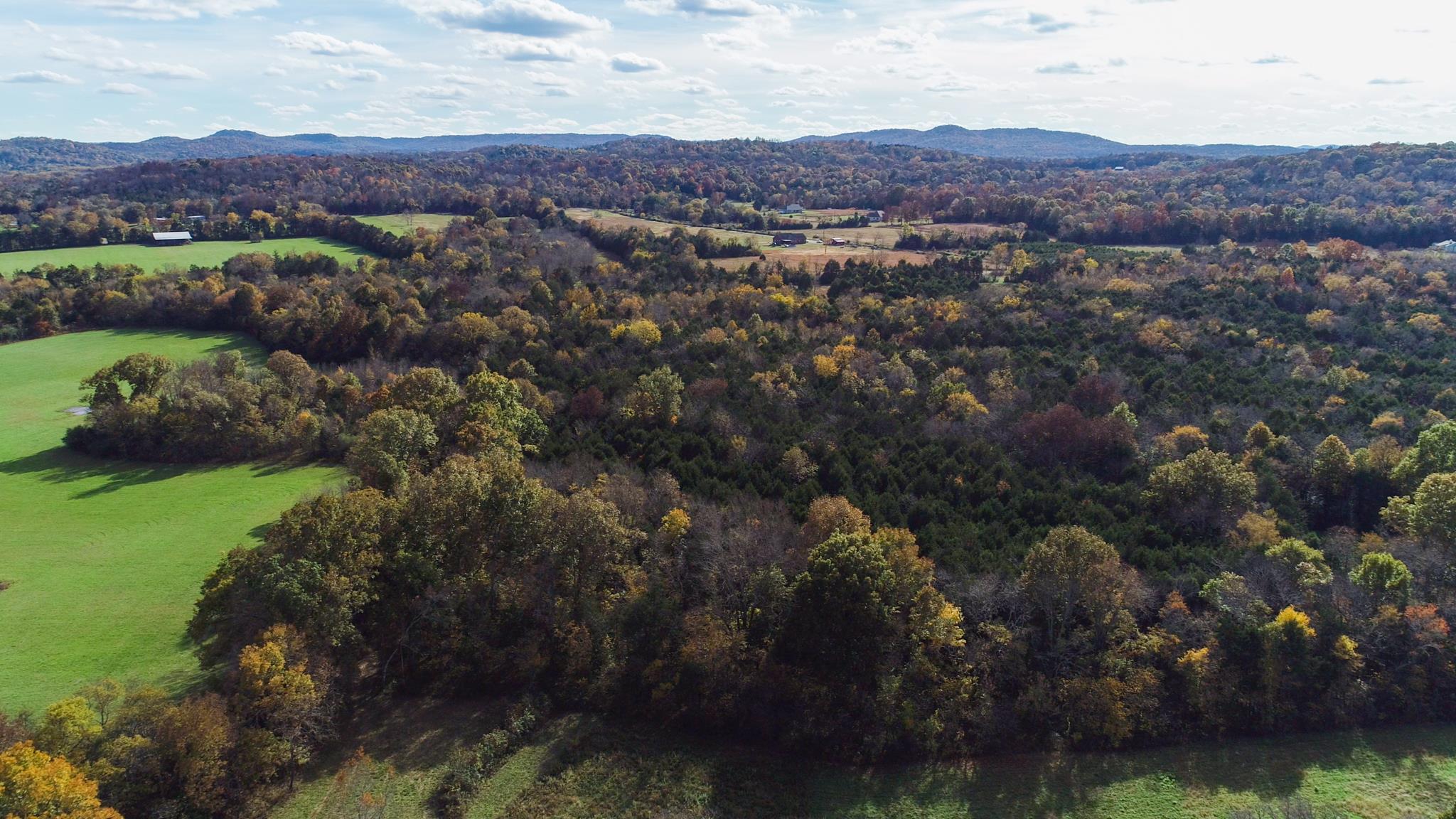 10111 Vaught Road Readyville, TN 37149 - Photo 5 of 16 Gallery Image 5
