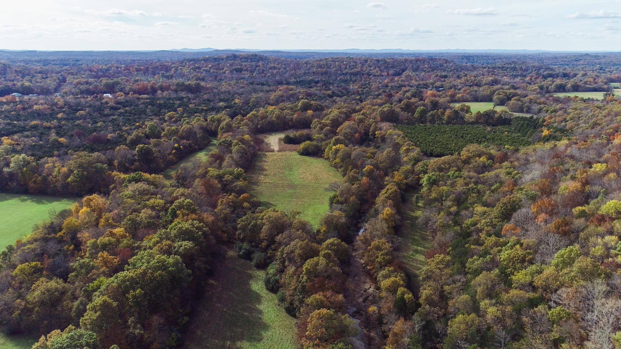 10111 Vaught Road Readyville, TN 37149 - Photo 8 of 16 Gallery Image 8