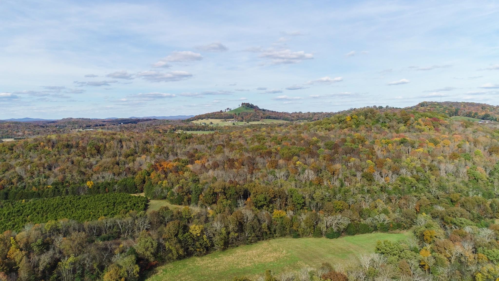 10111 Vaught Road Readyville, TN 37149 - Photo 9 of 16 Gallery Image 9