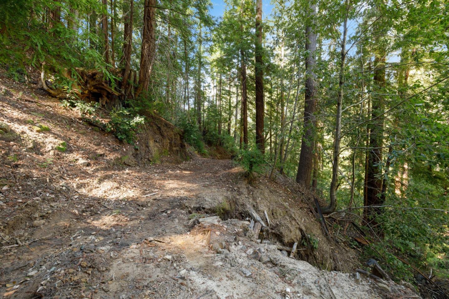 2950 Bear Canyon Road Los Gatos, CA 95033 - Photo 51 of 100 a view of a forest with trees in the background