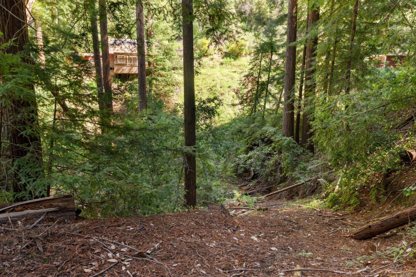 2950 Bear Canyon Road Los Gatos, CA 95033 - Photo 55 of 100 a view of a forest that has large trees